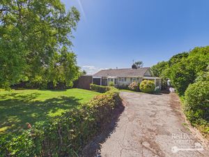 Driveway- click for photo gallery